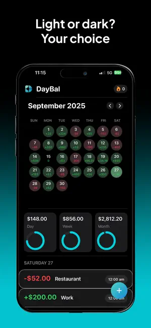 DayBal screenshot 4