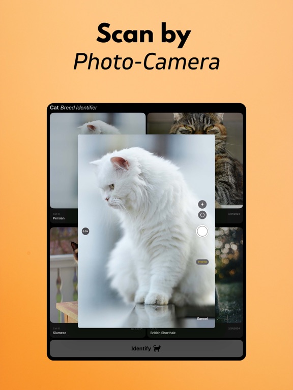 Screenshot #6 pour Cat Breed Identifier