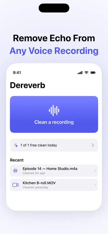 Dereverb - Echo Remover AI screenshot 1 of 5