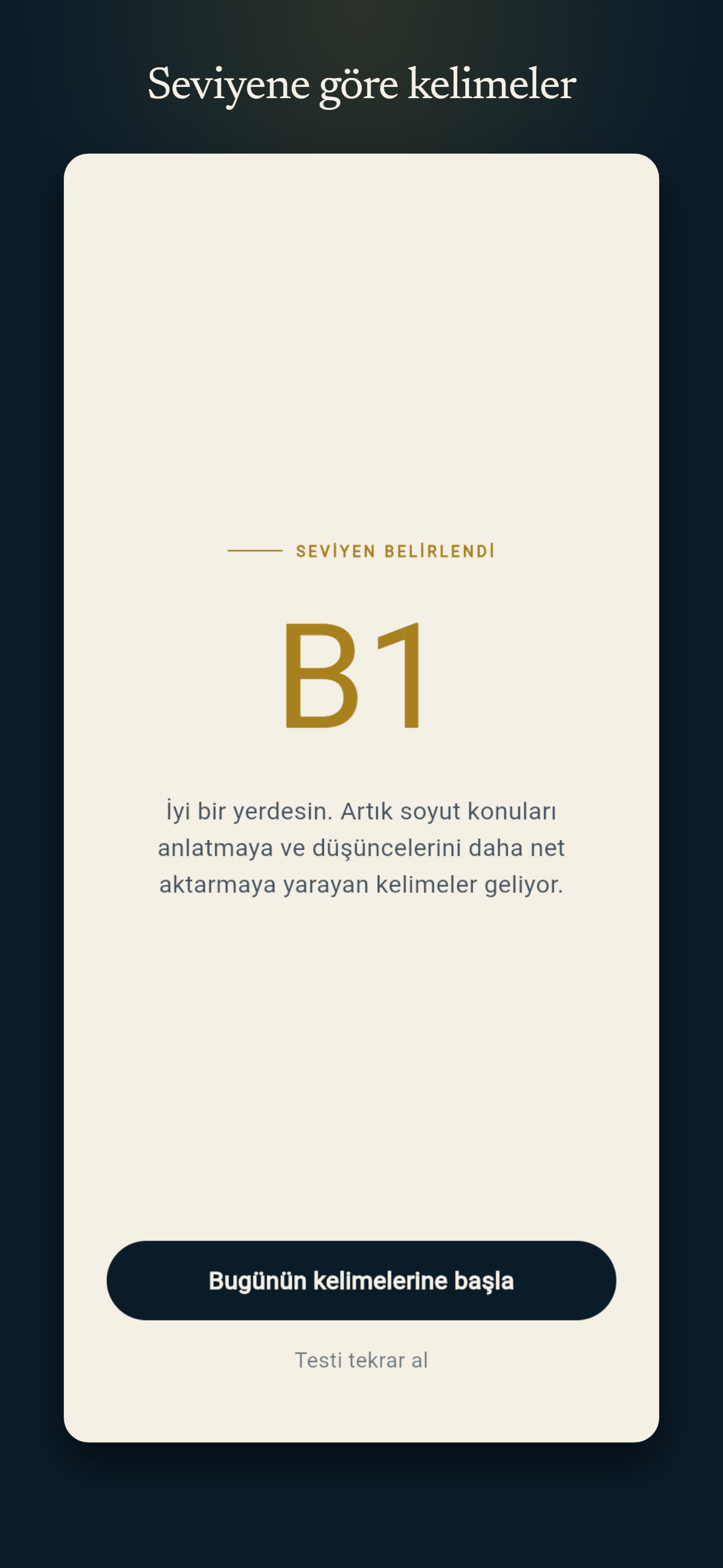 Kelime Kumbara screenshot 2