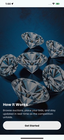 AV Globale Auction screenshot