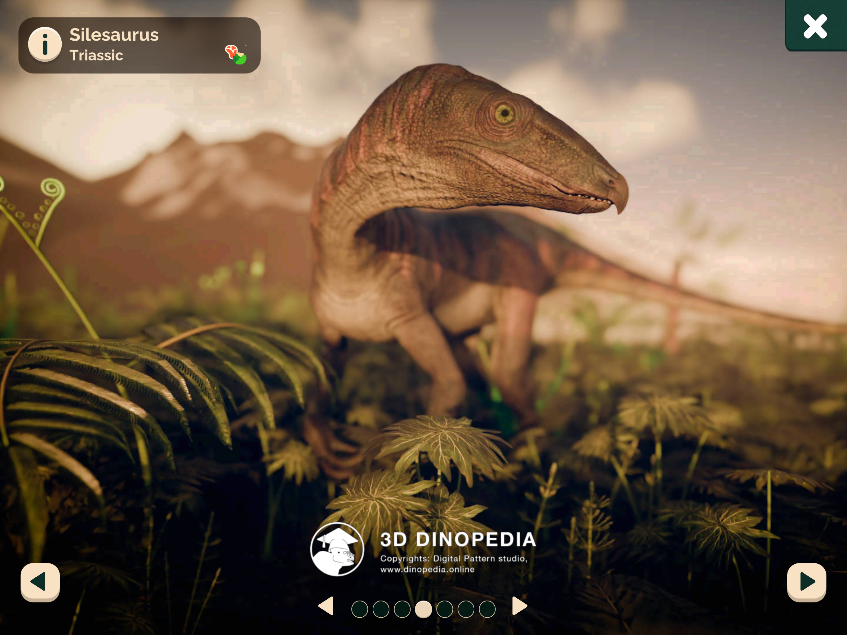 3D Dinopedia: Paleontology screenshot 16