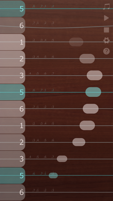 iGuzheng Screenshot