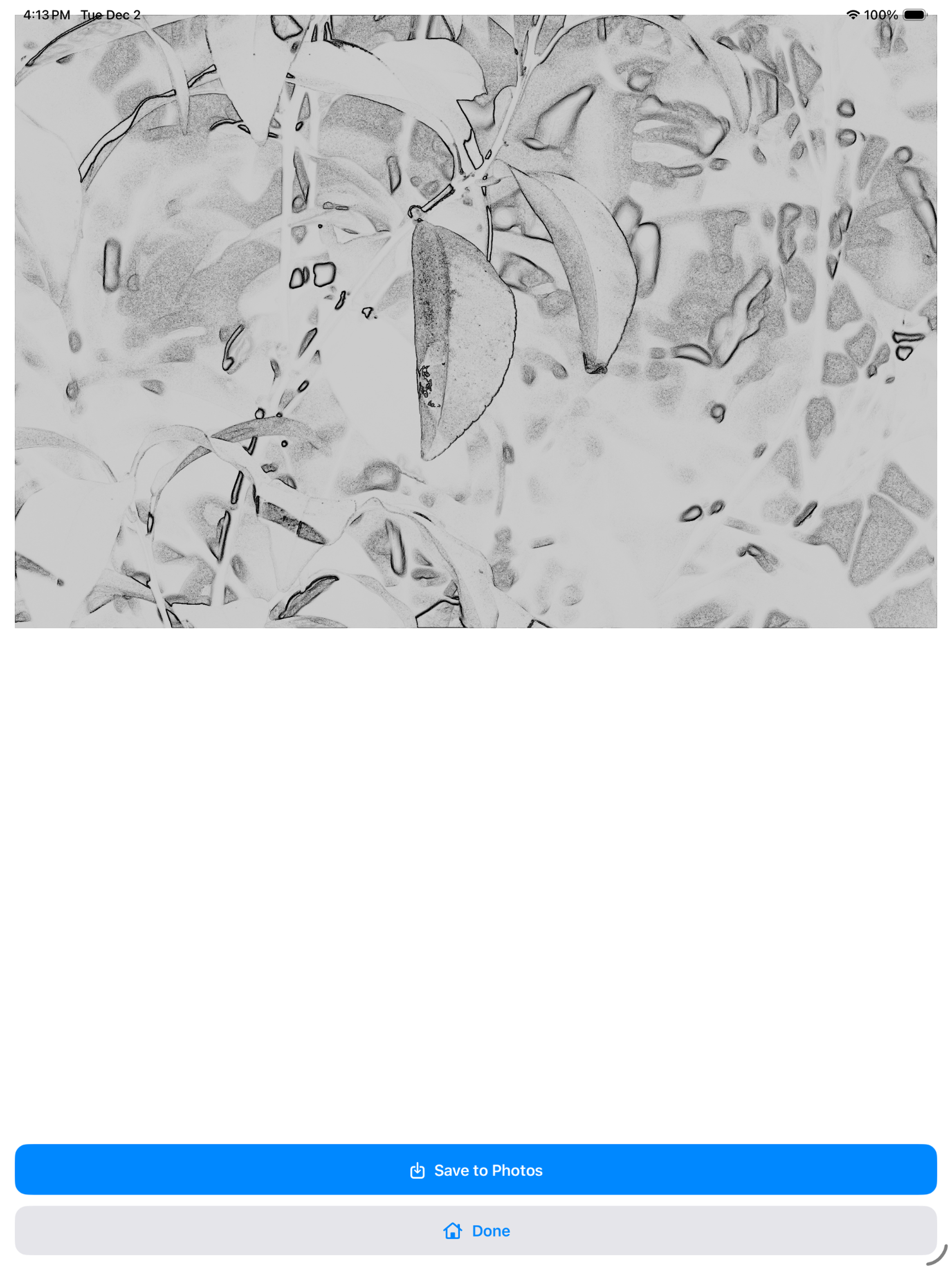 Pencilify Studio screenshot 7