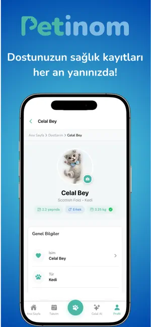 Petinom screenshot 2