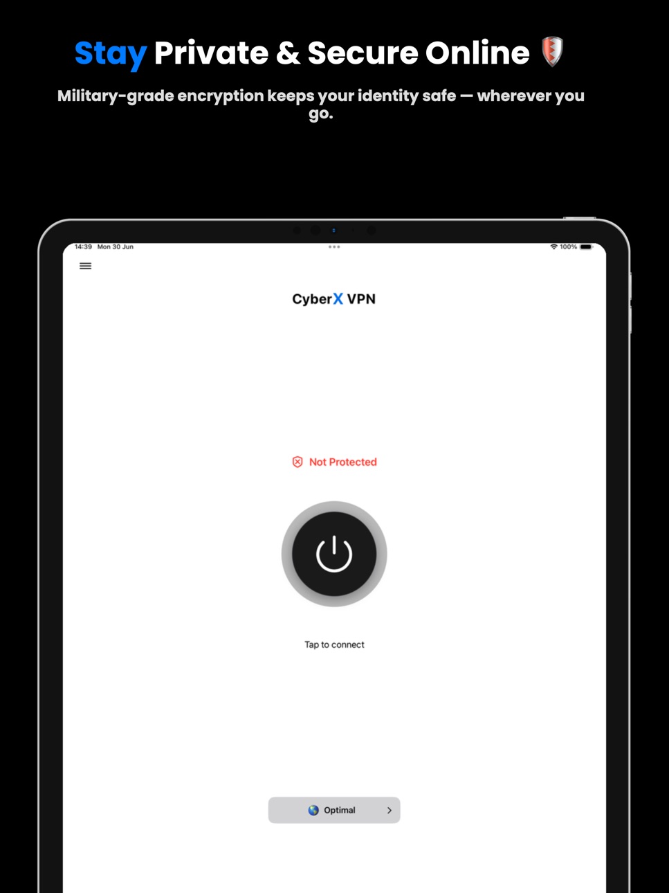 iPad screenshot