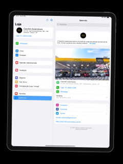 Ceschini Automóveis screenshot 8