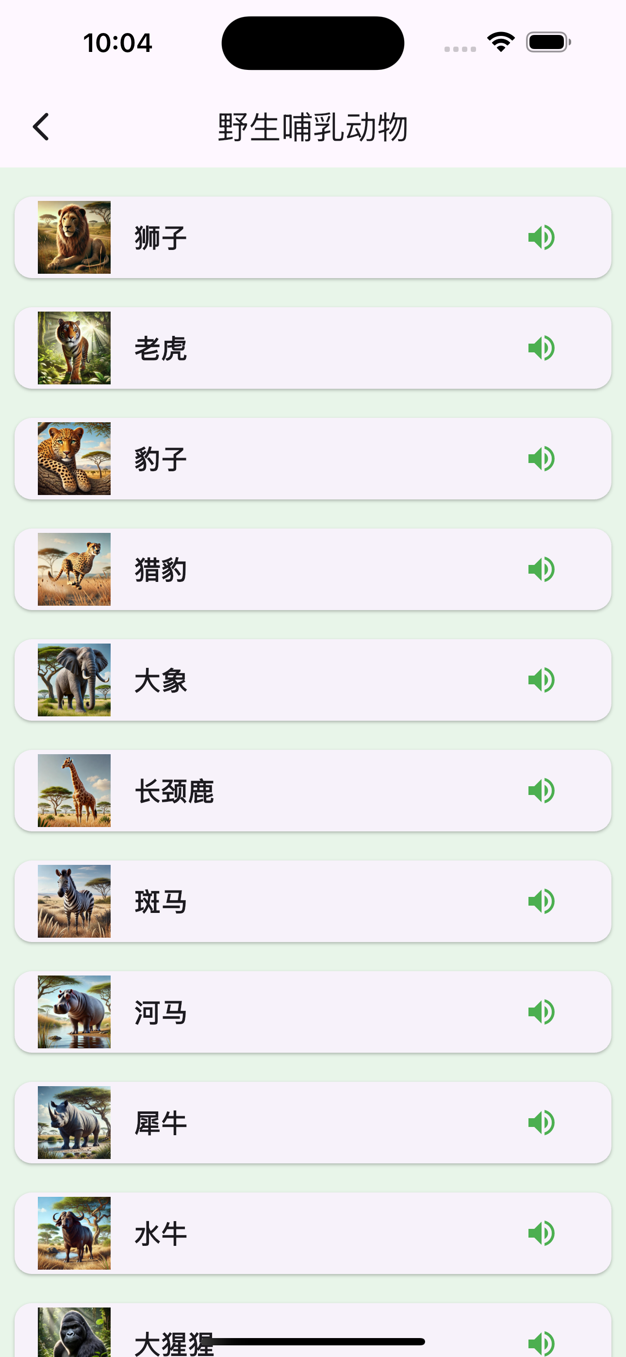 Animals Chinese Learn And Play