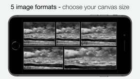 Camera1 - Black & White Camera screenshot