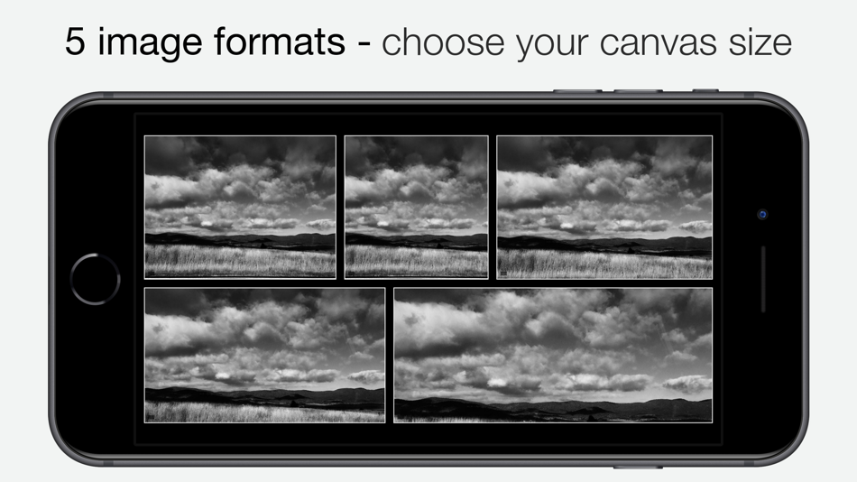 #2. Camera1 - Black & White Camera (iOS) 来自: Sebastien Ardon