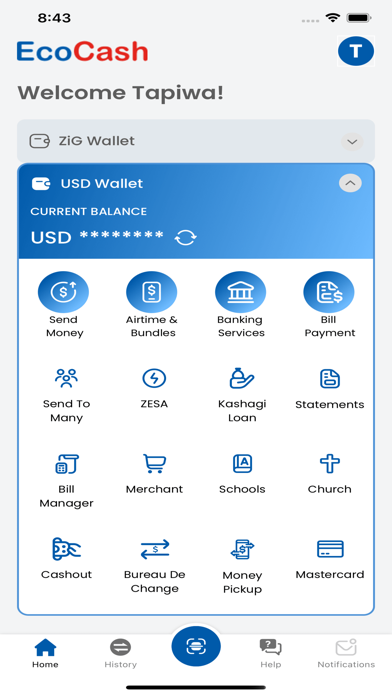 EcoCash Zimbabwe Screenshot