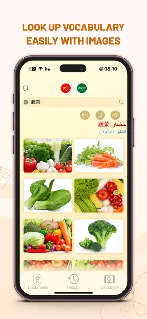 Charab Dict: Chinese Arabic screenshot 2