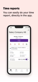 Spiris Employee screenshot