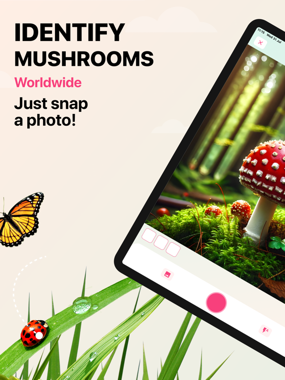 Mushroom Identifier: ID (AI) iPad screenshot 1 - Education app