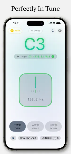 Sawari - Shamisen Tuner screenshot 1