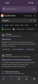 The Private Browser. screenshot 1