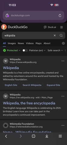 The Private Browser. Screenshot 1 of 2