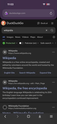 The Private Browser. screenshot 1