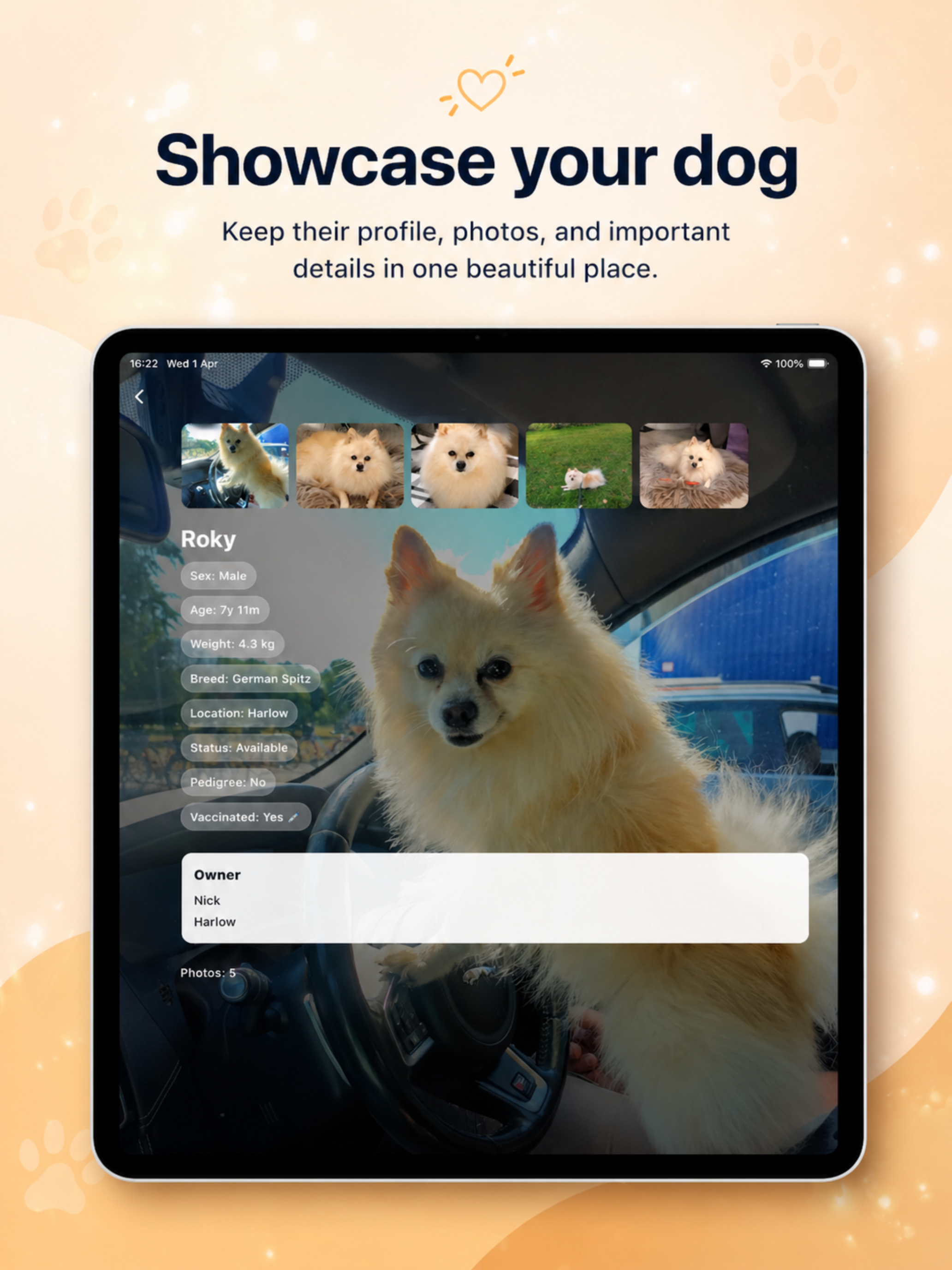 Dogs Dating app screenshot 10