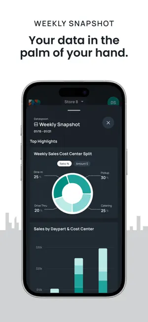 Dataspoon screenshot 2