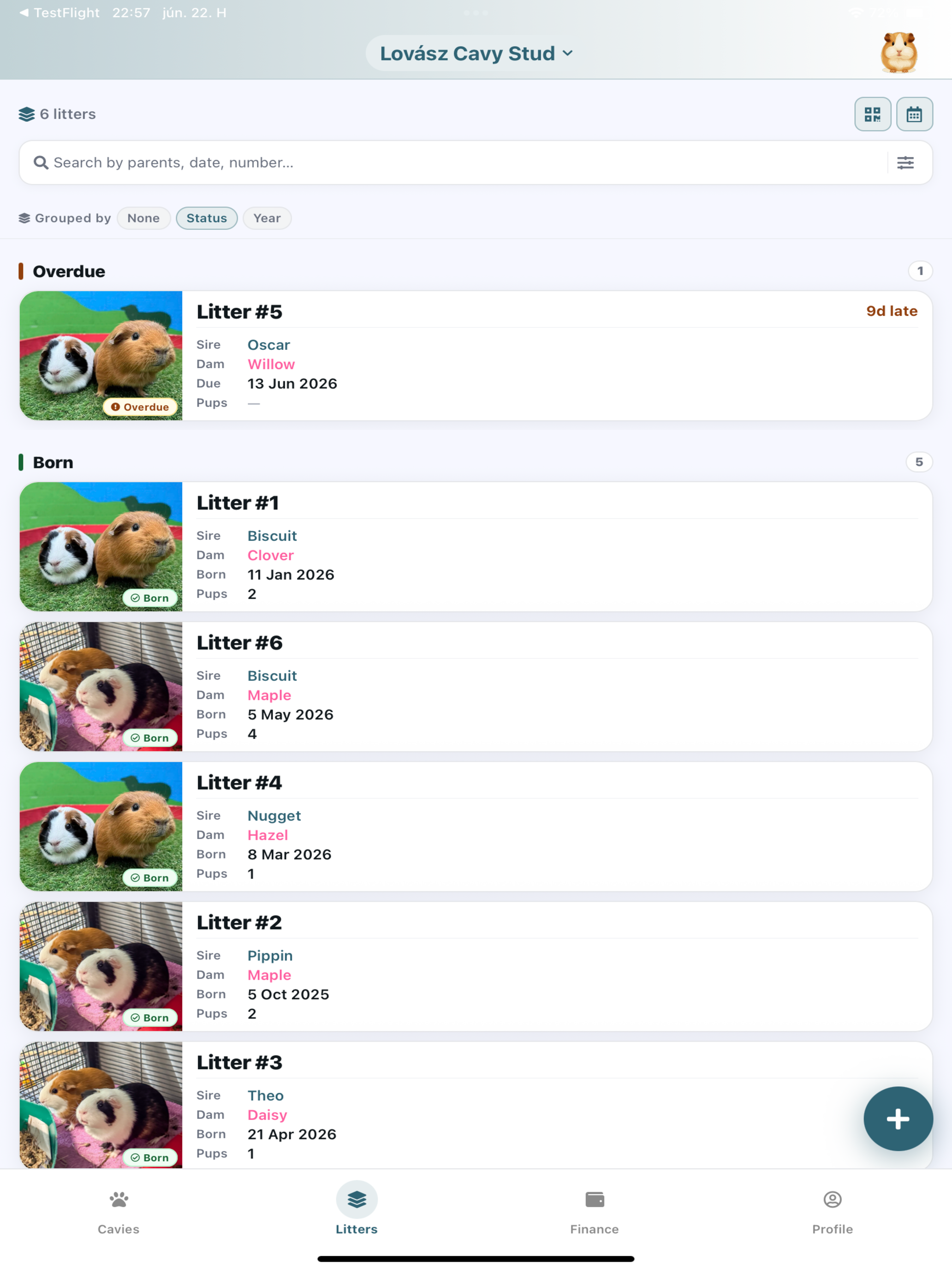 Pigree screenshot 12