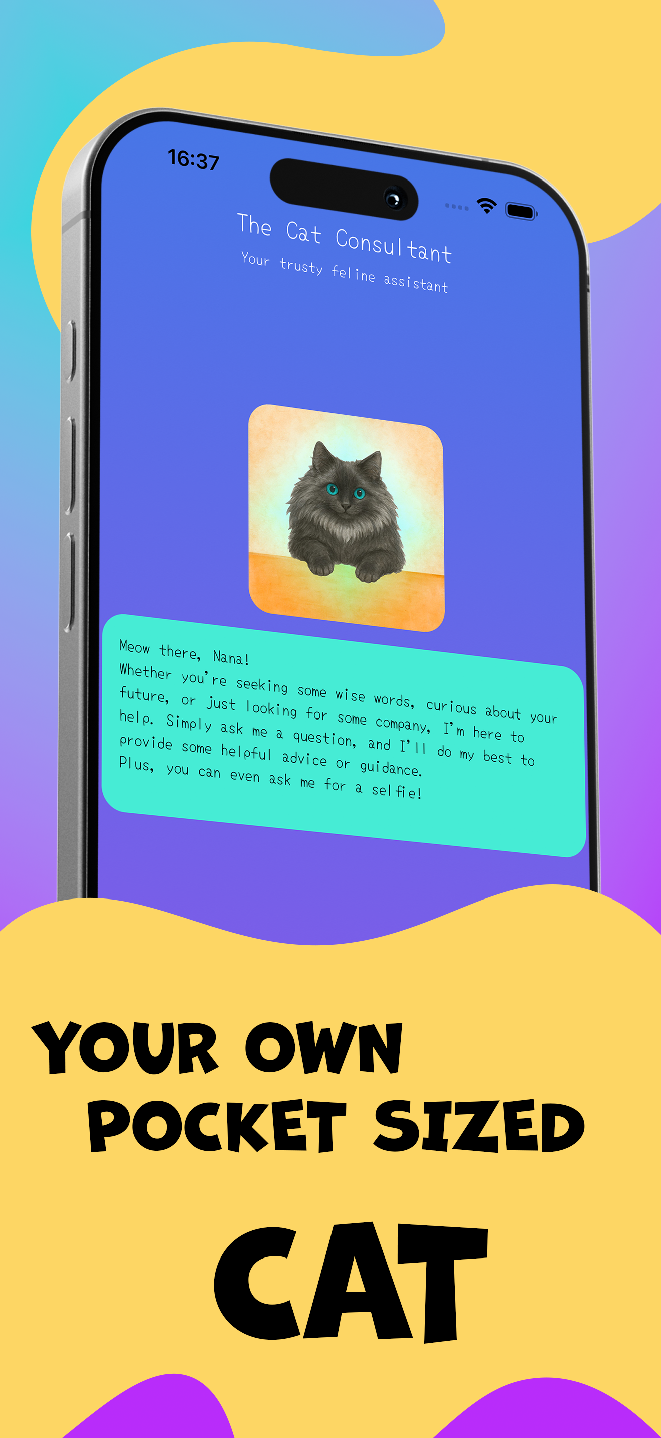 The Cat Consultant