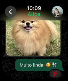 WhatsApp Messenger Screenshot