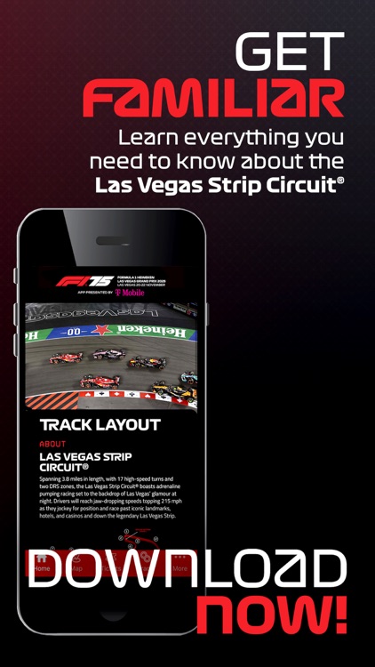 F1 Las Vegas screenshot-4