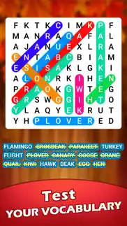 word search - game iphone screenshot 3