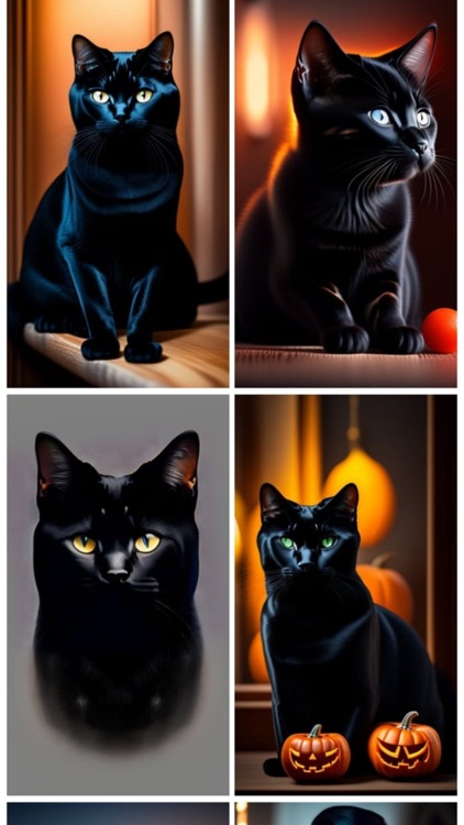 Black Cat Wallpapers