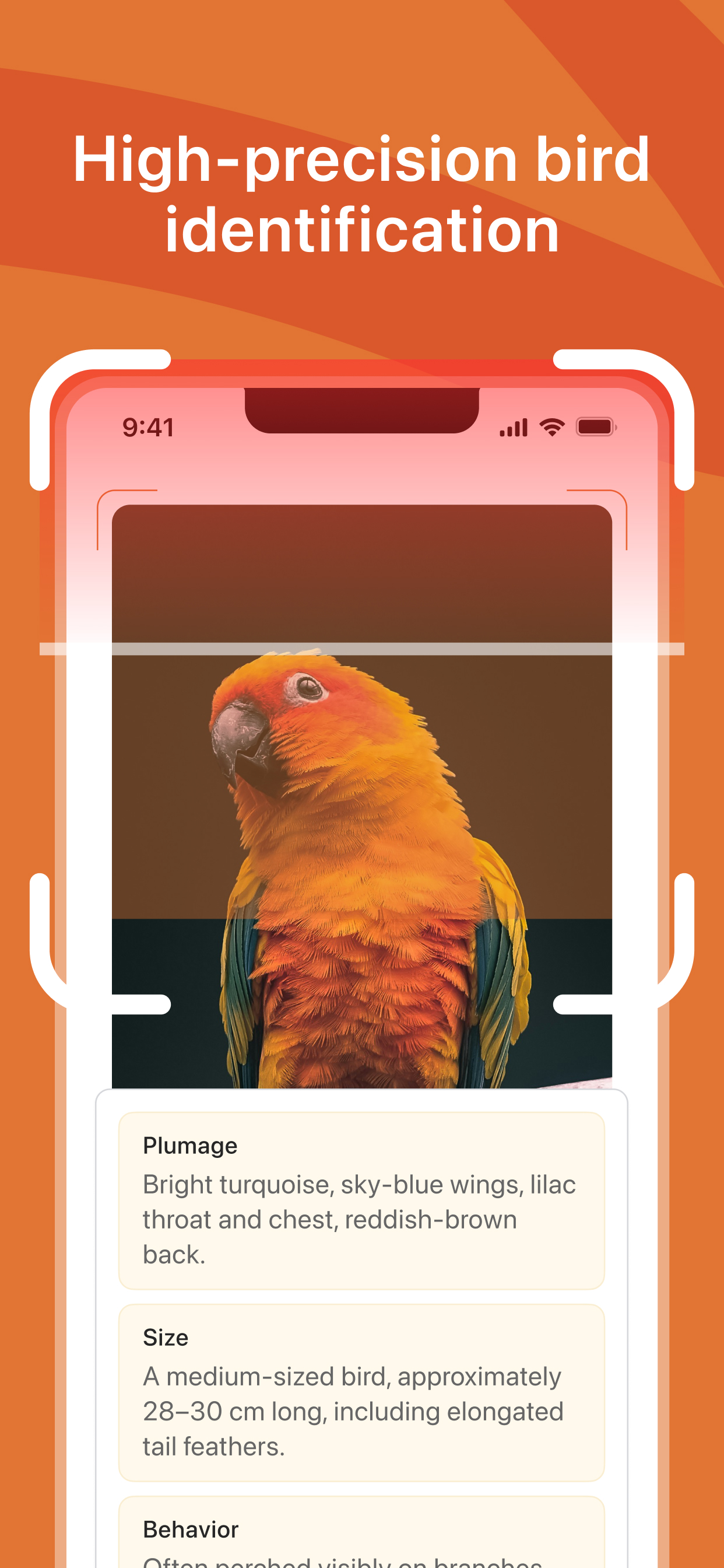 Bird Identifier: Scanner Guide