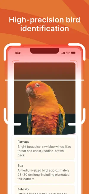 Bird Identifier: Scanner Guide screenshot 4