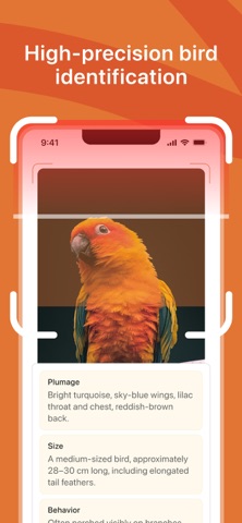 Bird Identifier: Scanner Guide iPhone screenshot