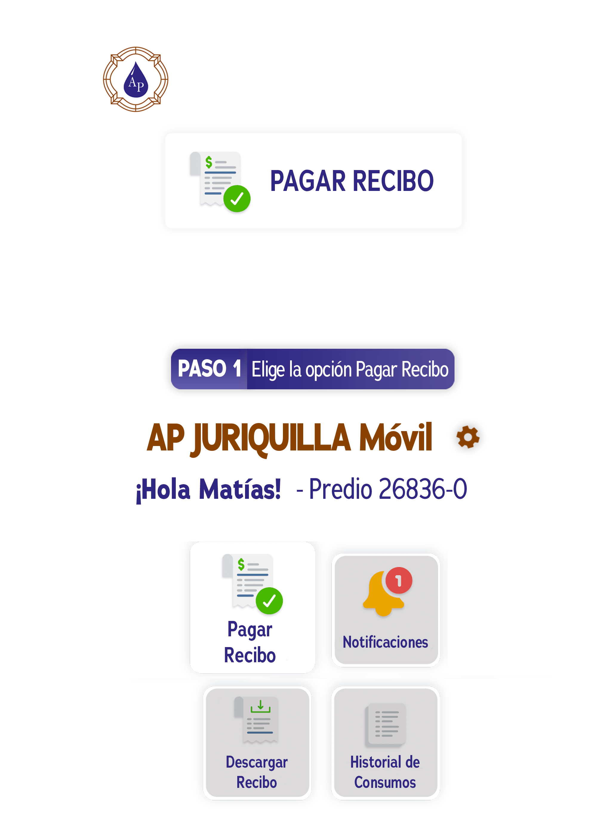 AP Juriquilla screenshot 16