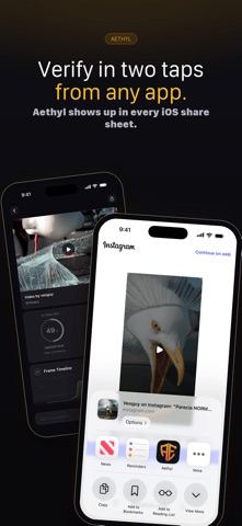 Aethyl: AI Video Detector iPhone screenshot