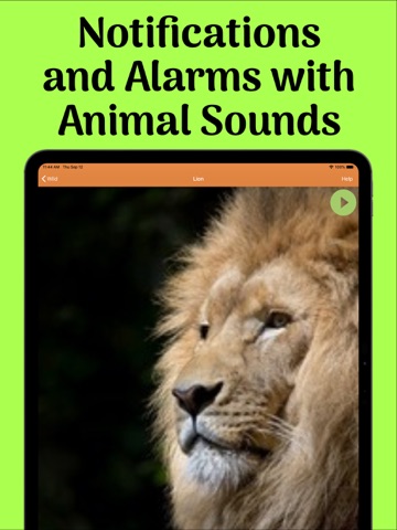 Animal Ringtones & Sounds iPad screenshot