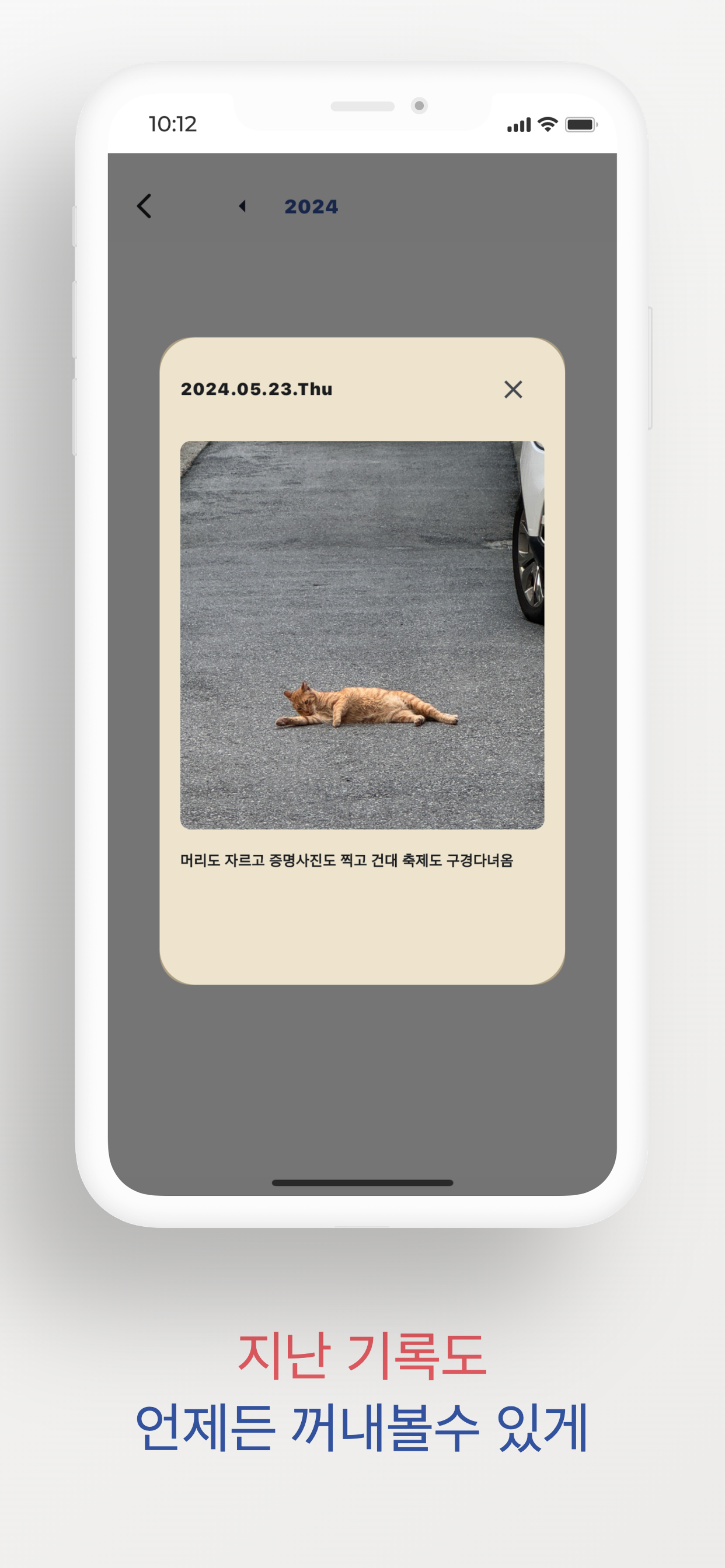 오늘의 색상