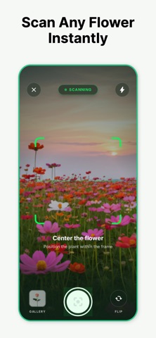 Flower Identifier App Screenshot 1 of 4