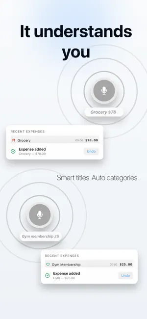 Expense Tracker: SpendVoice screenshot 2