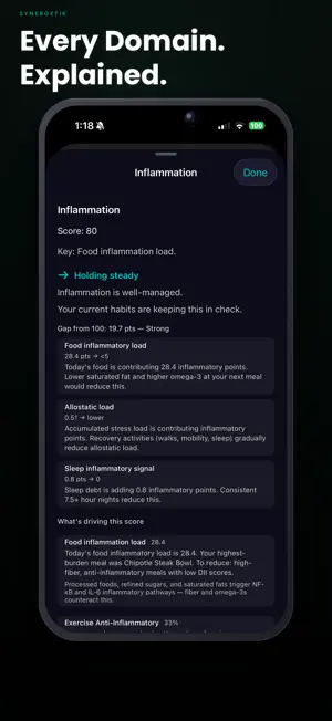SYNERGETIK screenshot 2