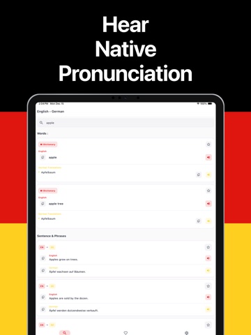 German Translator Dictionary ipad screenshot 3