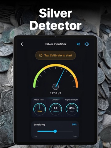 Metal Detector and EMF Scanner iPad screenshot