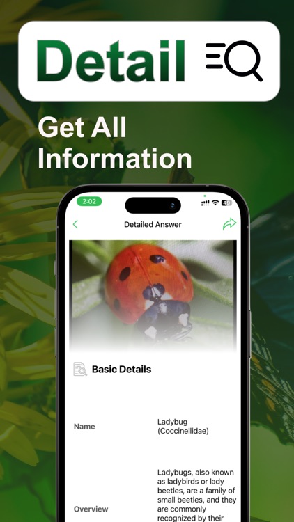 Insect identifier: AI Bug ID screenshot-4