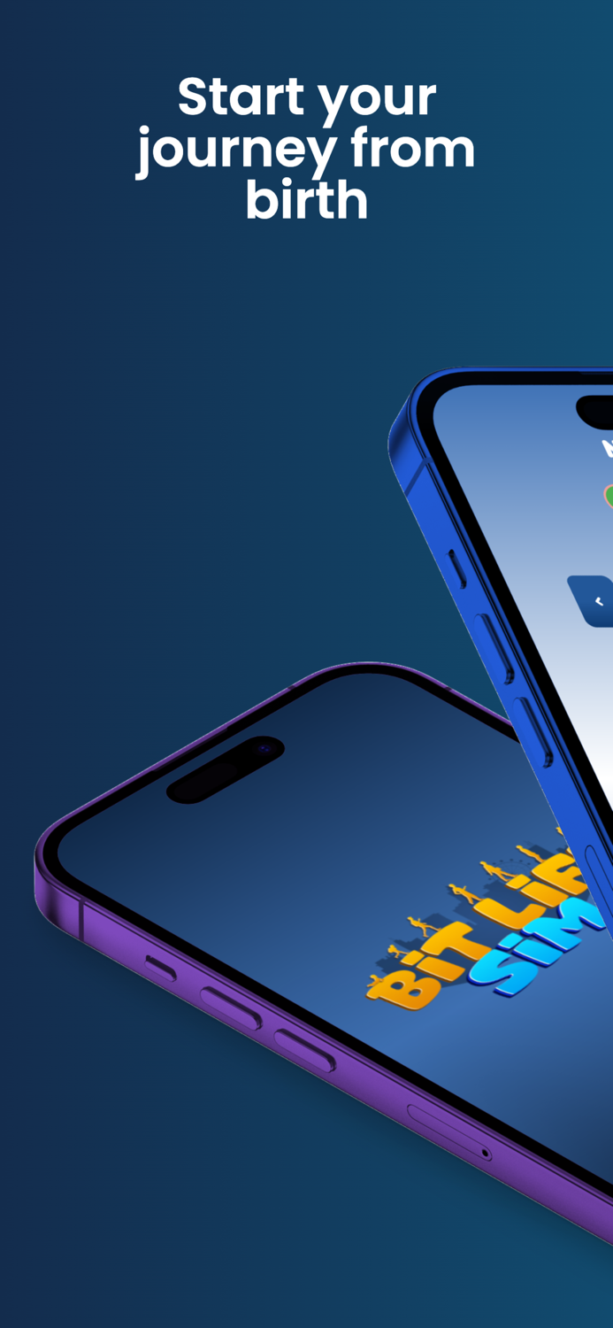 BitLifeSim - Life Simulator