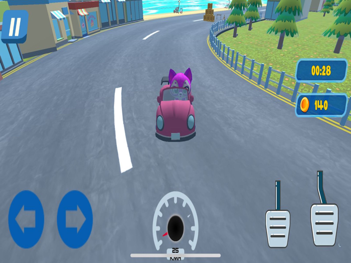Pet Racing Kart Driving Game