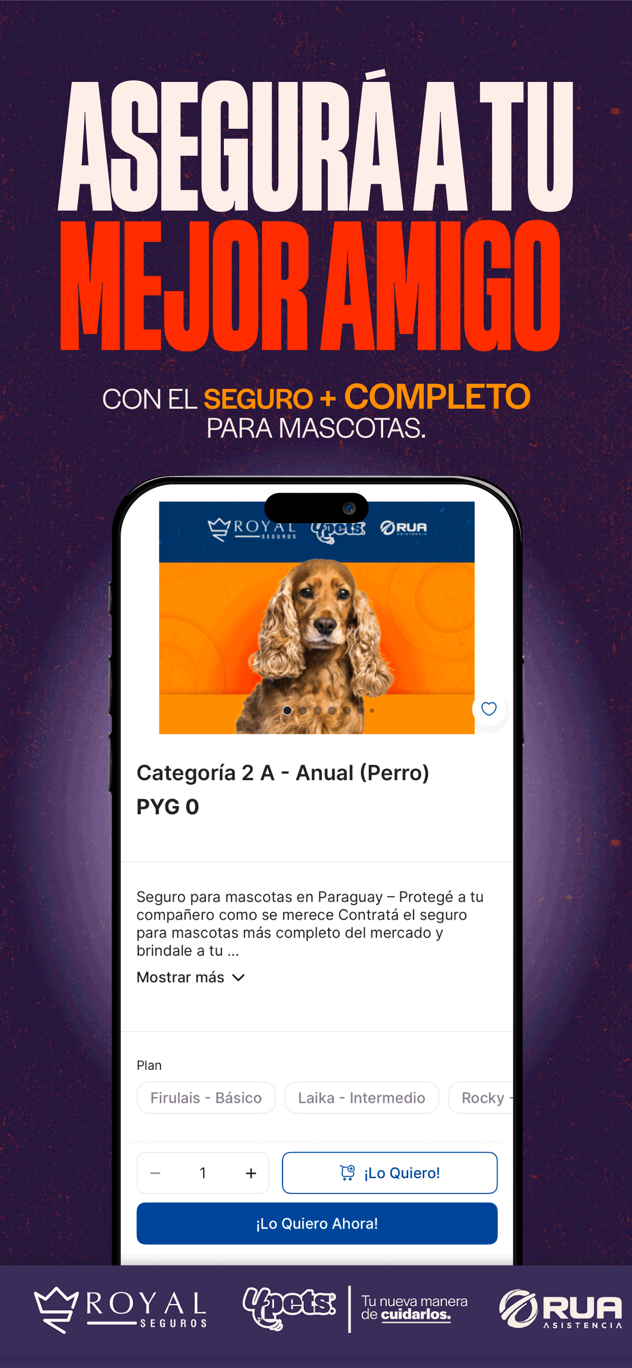 4Pets - Cuidando a tu Mascota