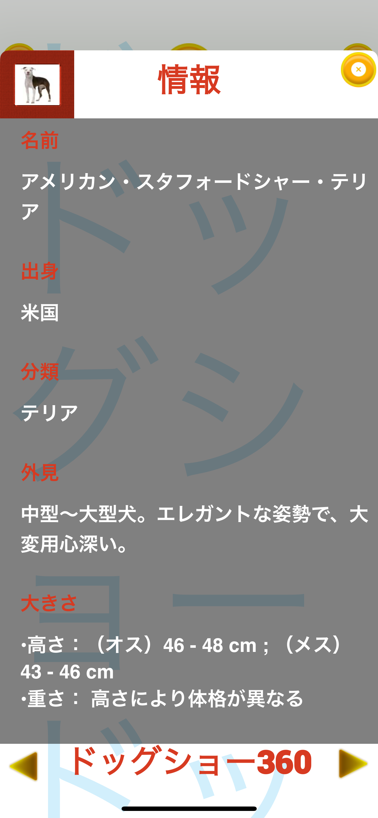 ドッグショー360