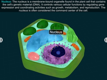 Plant Cell by EduTech Era iPad screenshot