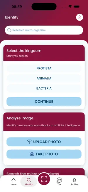 Amarantya screenshot 3