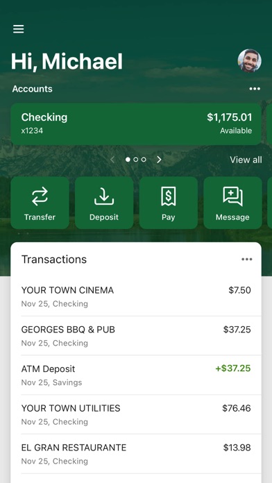 North Valley Bank Screenshot